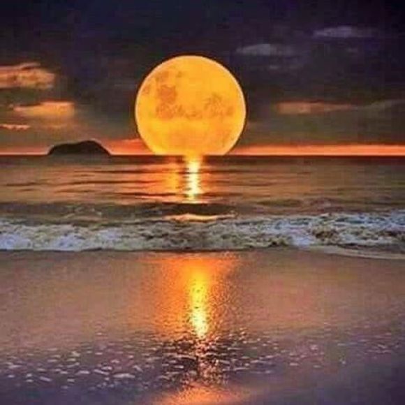 Meet your Posher, Adam - Picture 1 of 1